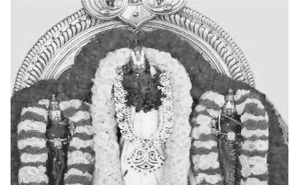 பசு கண்டெடுத்த பெருமாள்!   