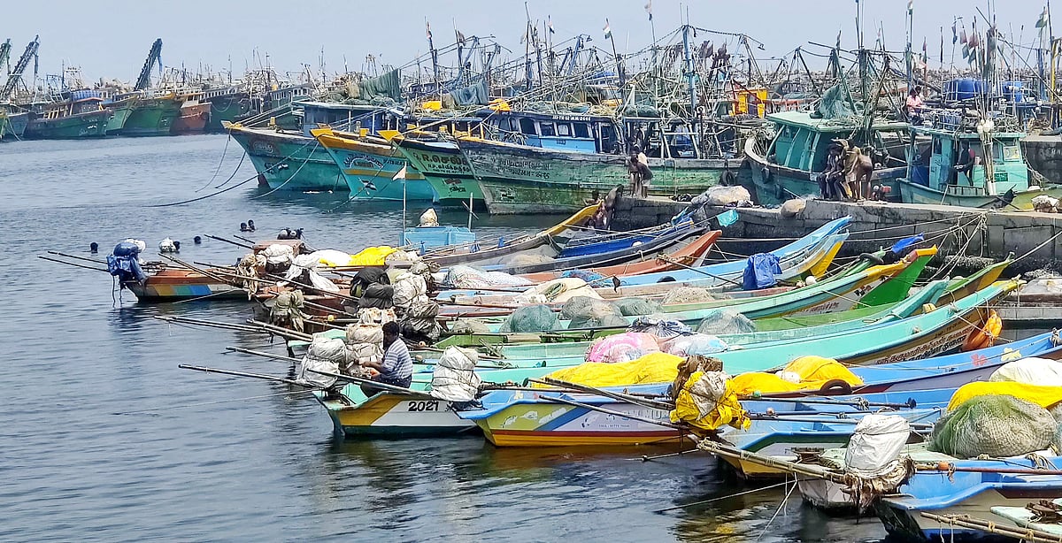 மீன்வள மசோதா என்ன சொல்கிறது? மீனவர்கள் ஏன் எதிர்க்கிறார்கள்?
