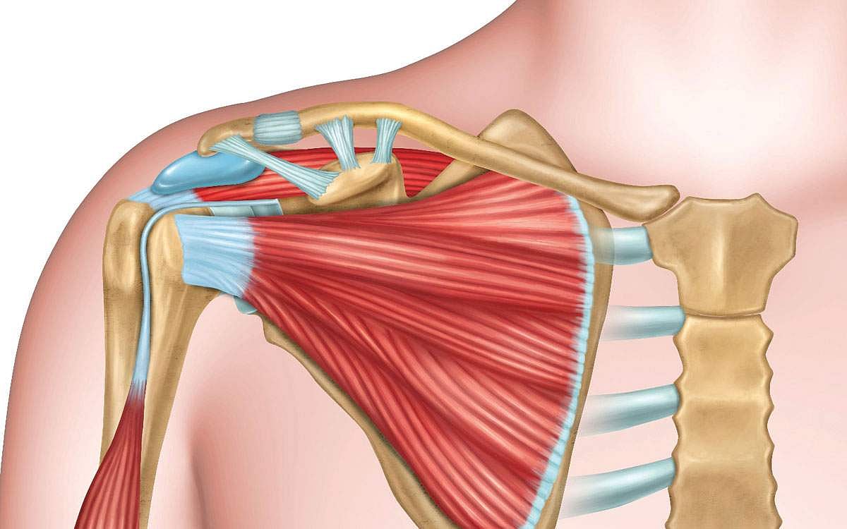 ஆயுள் காக்கும் ஆயுர்வேதம்: நரம்புகளின் பழுது நீக்கும் மருந்துகள்!