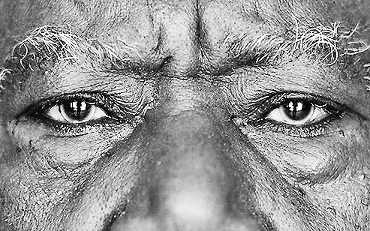 ஆயுள் காக்கும் ஆயுர்வேதம்: கண்களை வலுப்படுத்தும் பசுவின் நெய்!