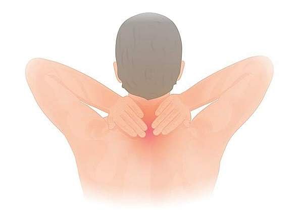 சுகம் தரும் சித்த மருத்துவம்: வாத நோய்களை பறக்க விடும் ‘சிற்றாமுட்டி’ !