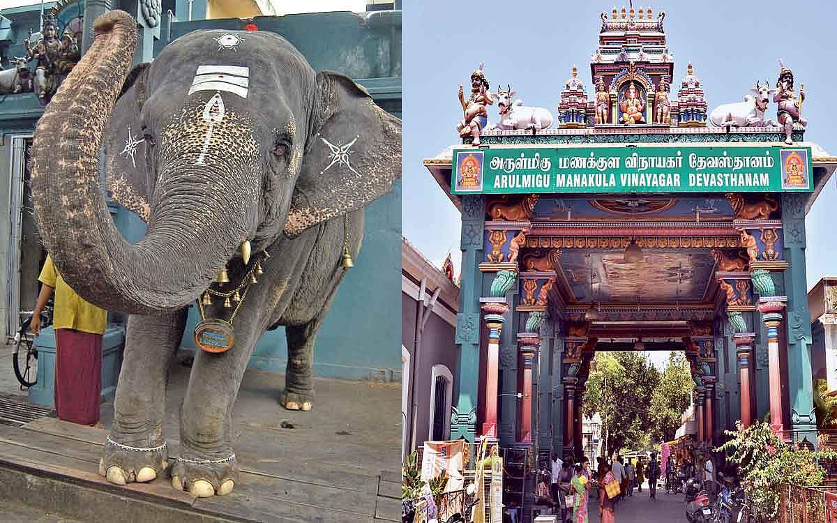 மக்கள் மனம் வென்ற மணக்குள நாயகி!