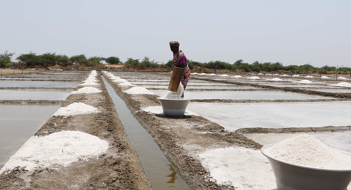அதிகாலையில் விழித்தும் விடியாத உப்பு சுமக்கும் பெண்களின் வாழ்க்கை