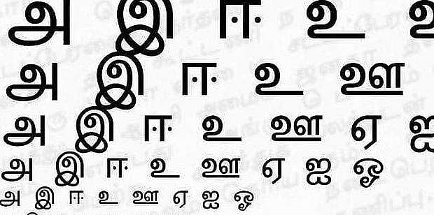 தாய்மொழியின் அருமை அறிவோம்!