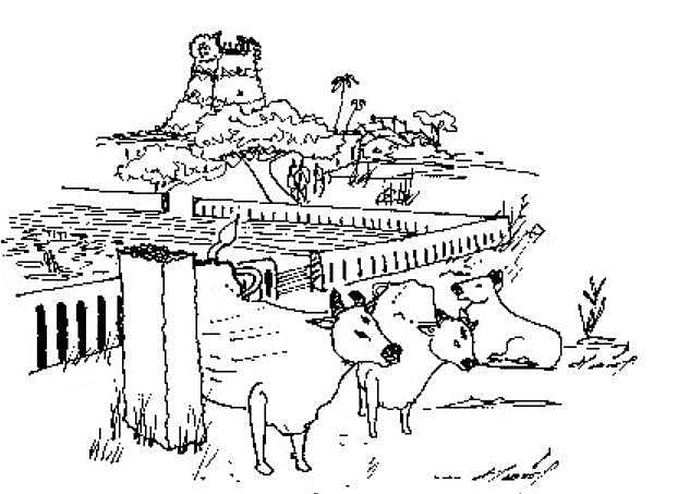 பண்பாட்டின் சின்னம் மொழி