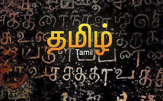 ஆட்சிமொழி செயலாக்கத்துக்கு முக்கியத்துவம்