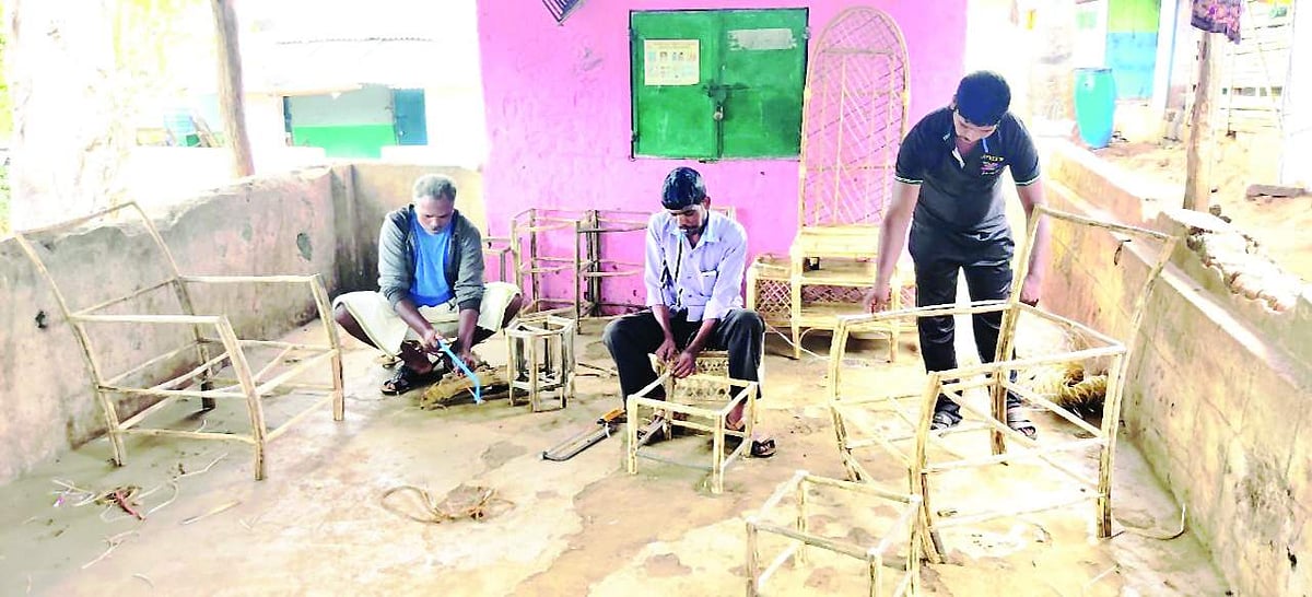 களைச்செடிகள்: வீட்டு உபயோகப் பொருள்கள்!