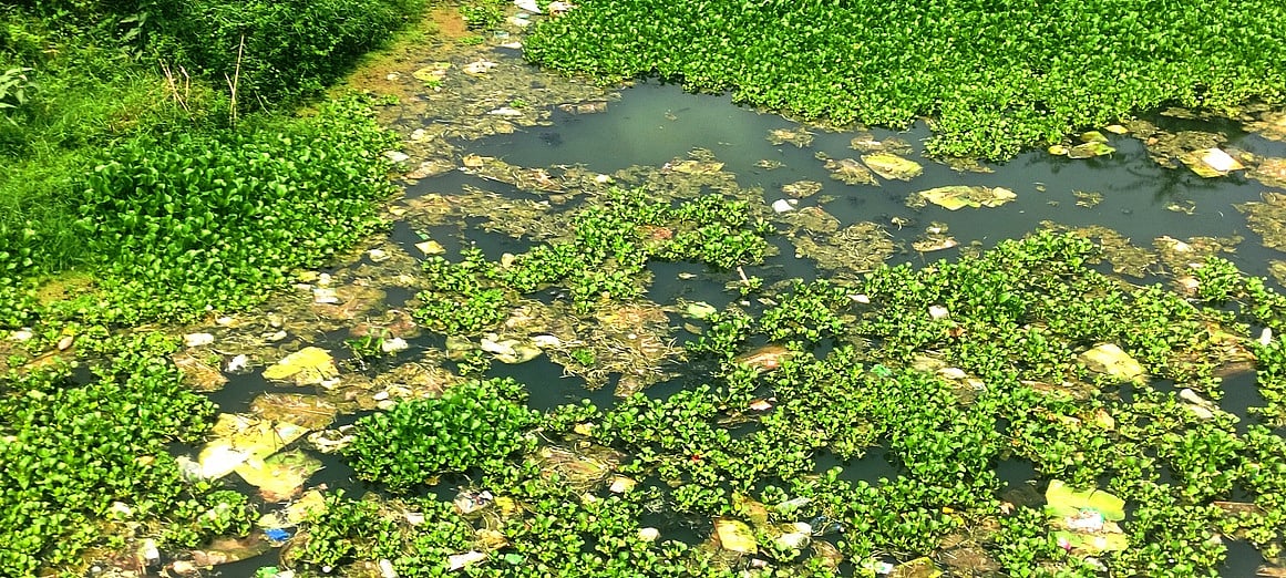 சனத்குமாா் நதியில் குப்பைக் கழிவுகள் கொட்டுவதை தடுக்கக் கோரி மனு