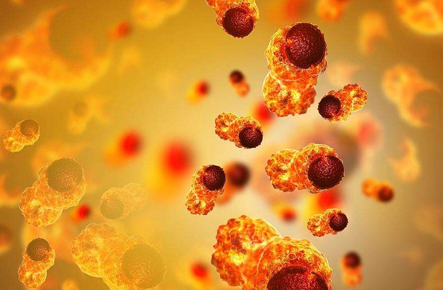 அறிவியல் ஆயிரம்: புற்றுநோய் சிகிச்சைக்கு உதவும் புதிய கண்டுபிடிப்பு