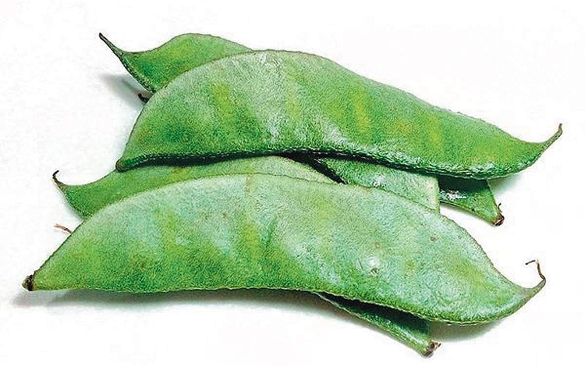 காய்கள் மகத்துவம்