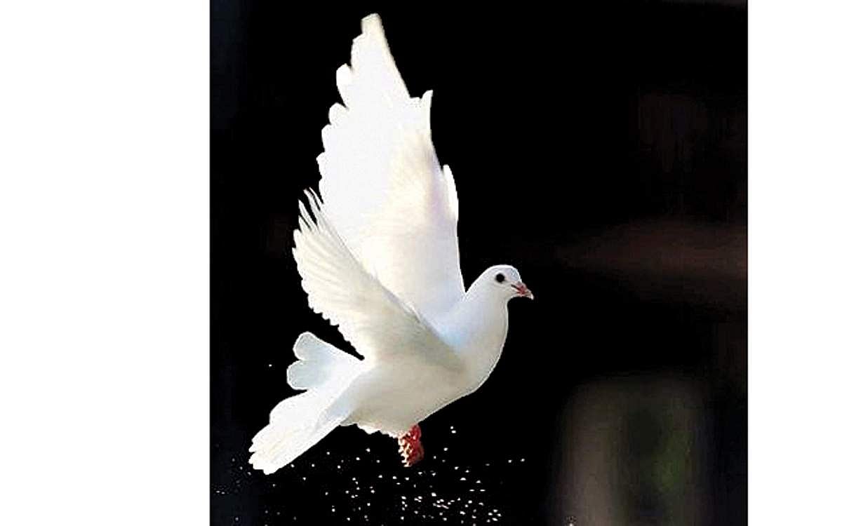 அன்பின் வழியது உயிா்நிலை