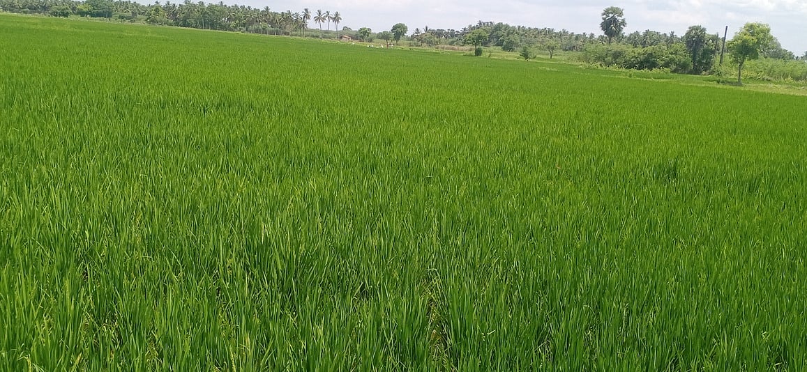 விவசாயக் கொள்கையில் மாற்றம் தேவை