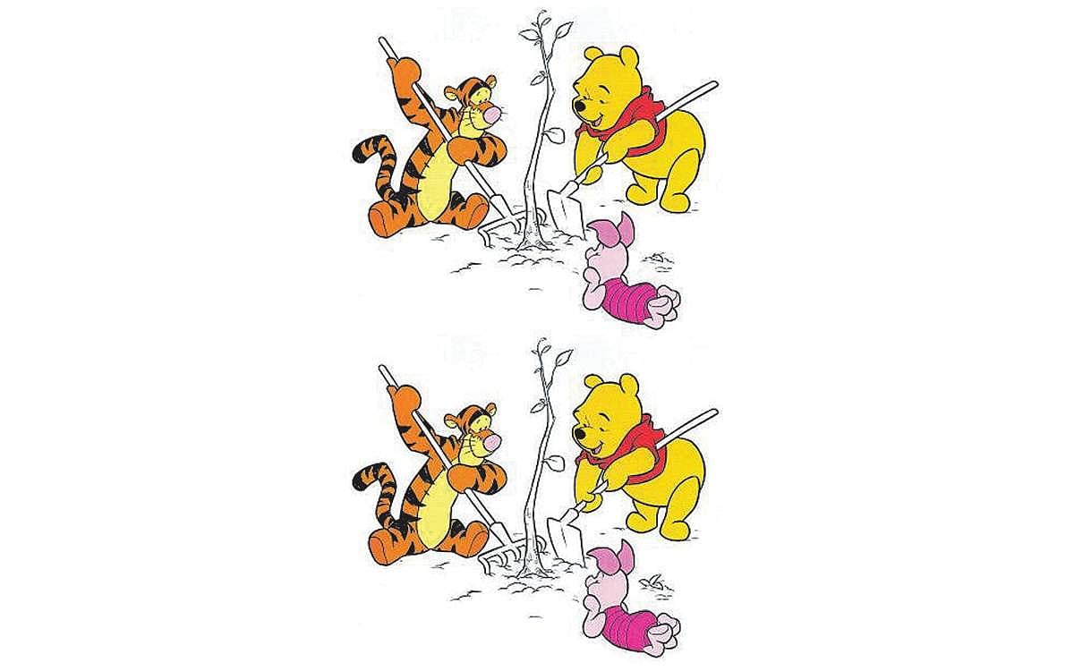 கண்டுபிடி  கண்ணே!