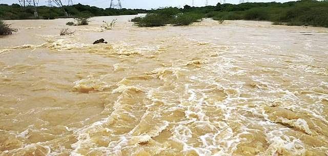 ஆறுகளின் தூய்மை காப்போம்