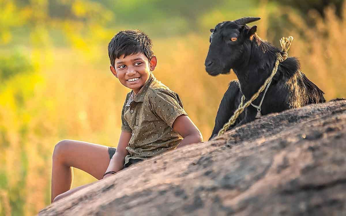 விலங்குகளின் அன்பில் அப்பழுக்கு இல்லை!