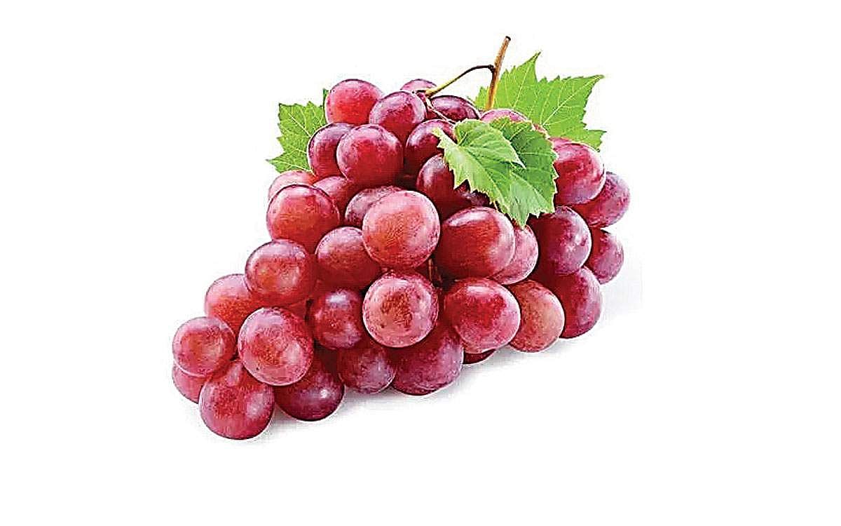 சிவப்புத் திராட்சையின் சிறப்பு