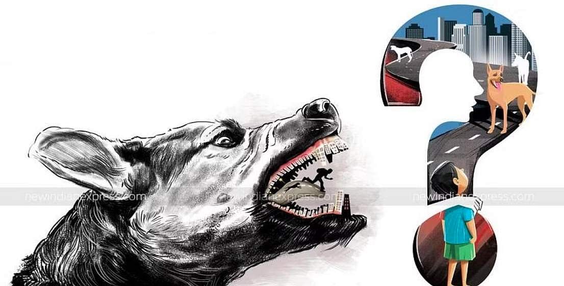 குளித்தலையில் வெறிநாய் கடித்து பெண் விரல் துண்டானது