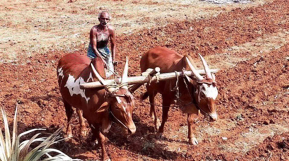 அறிவியல், அன்றும்.. இன்றும்..!