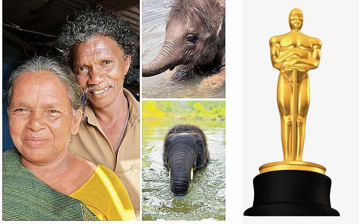 ரகு... அம்மு... ஆஸ்கர்...