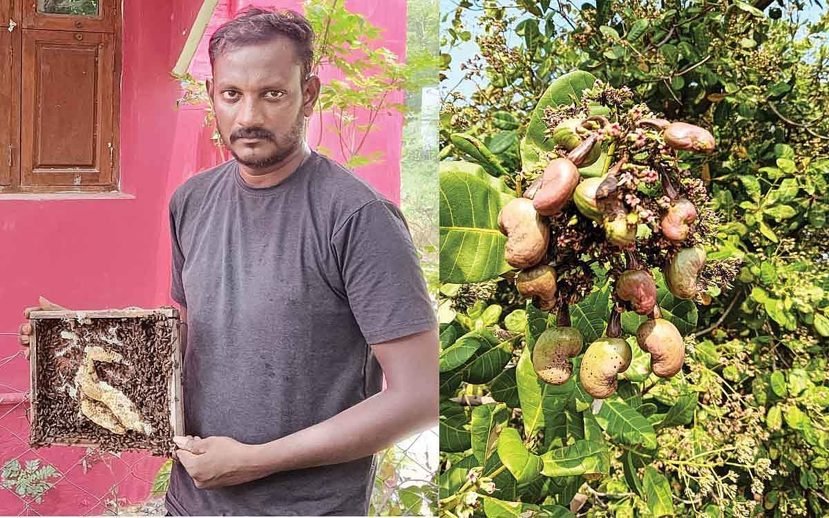 படித்ததோ பொறியியல்; பார்ப்பதோ விவசாயம்