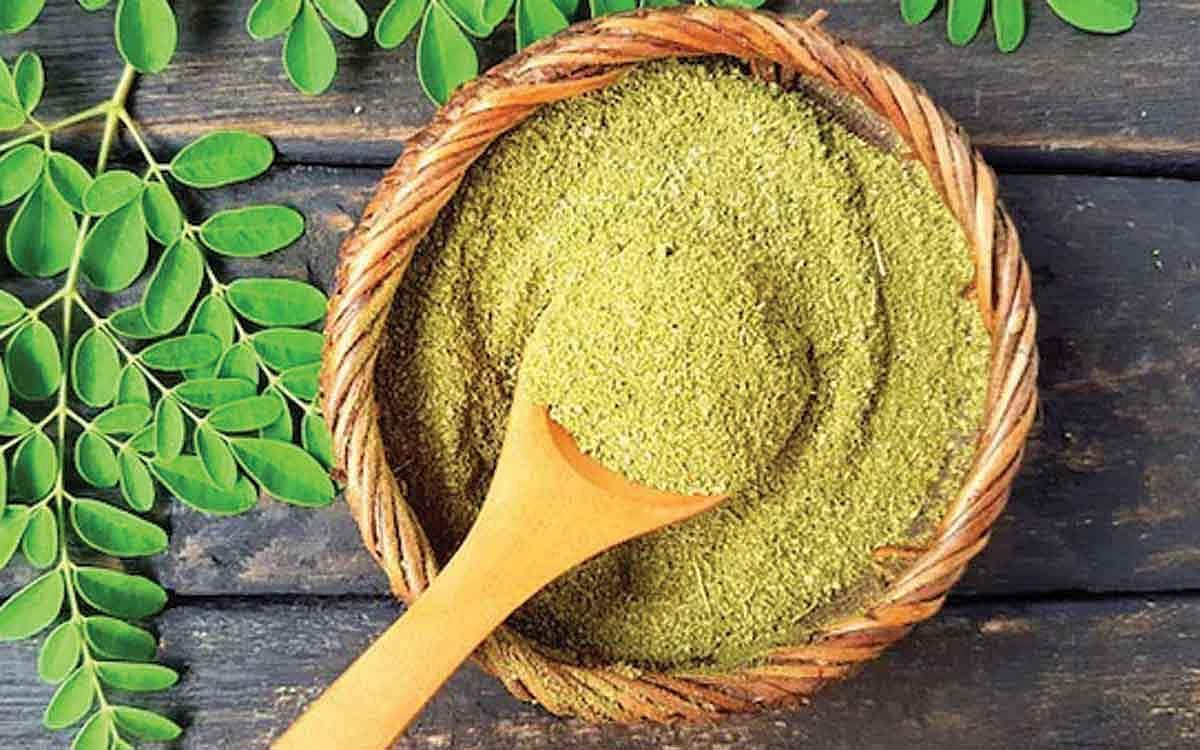 முருங்கைக் கீரைப் பொடி