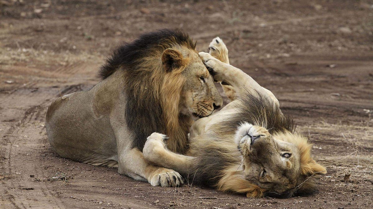 அவர்கள் அப்படித்தான்!