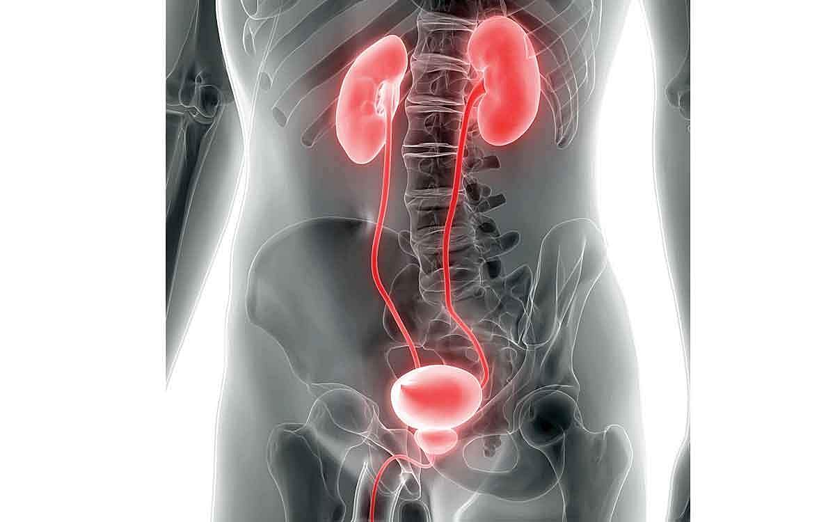 ஆயுள் காக்கும் ஆயுர்வேதம்: அடிக்கடி சிறுநீர் கழிக்காமல் இருக்க...