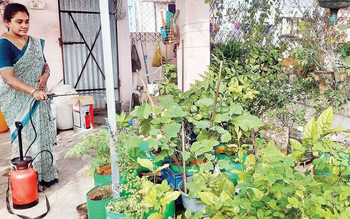 மாடியில் மனநிம்மதி தோட்டம்