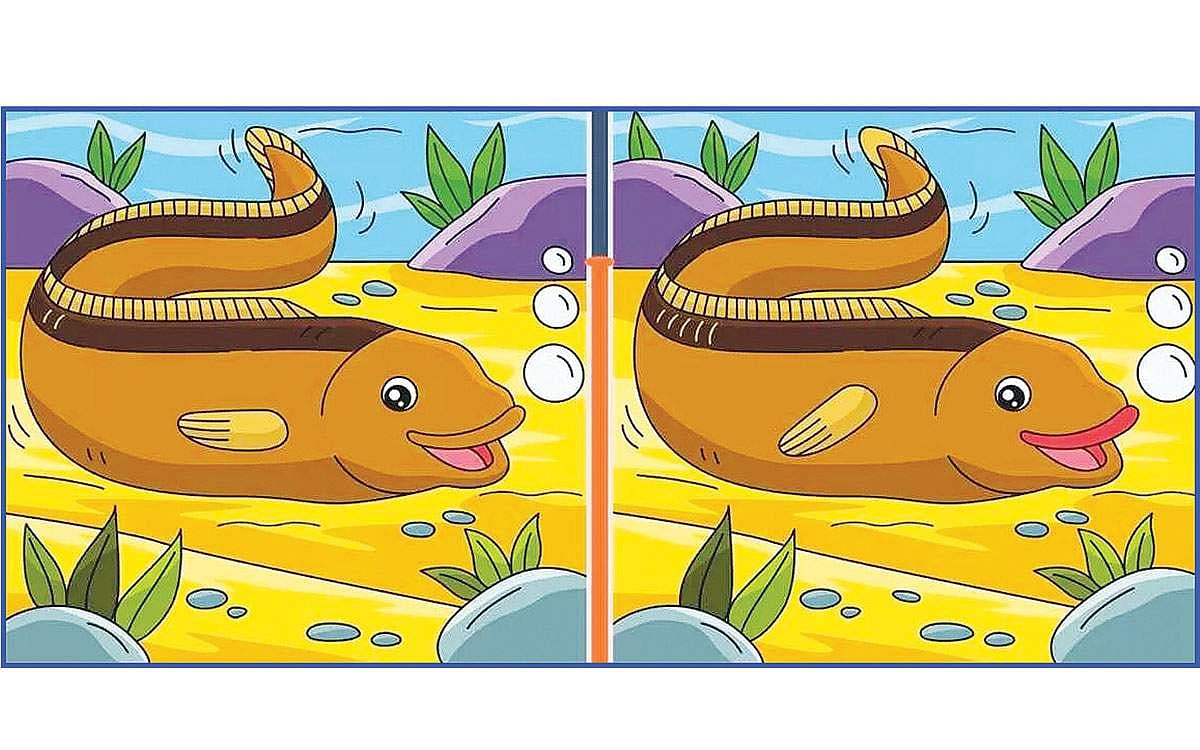 கண்டுபிடி கண்ணே!