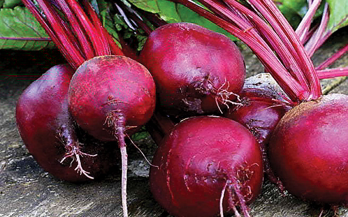 இரும்புச் சத்து நிறைந்த உணவுகள் என்னென்ன?