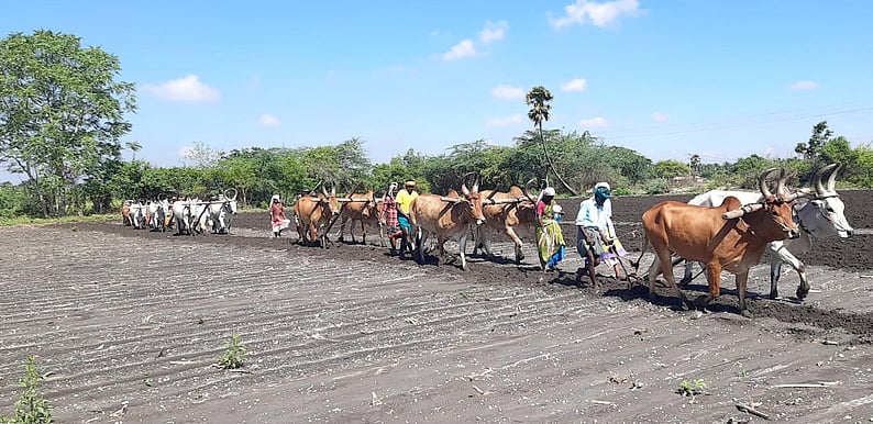 காணாமற்போன கிராம ‘கதாபாத்திரங்கள்’
