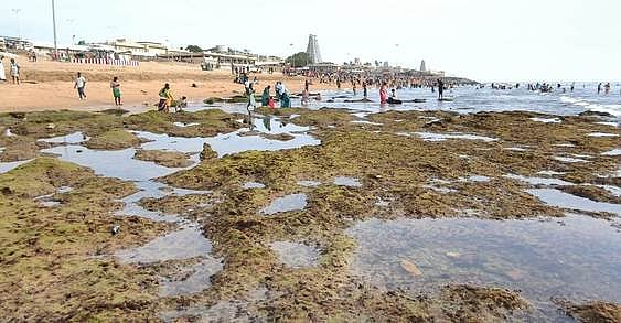 திருச்செந்தூரில் 2 வது நாளாக உள்வாங்கிய கடல்