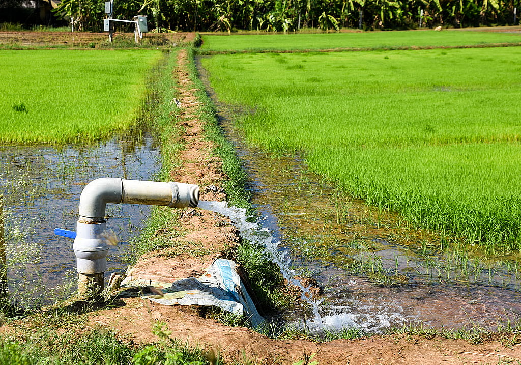 விவசாயமும், மின்சாரமும்...