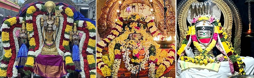 காா்த்திகை தீபத் திருவிழா:
சிவாலயங்களில் சிறப்பு வழிபாடு