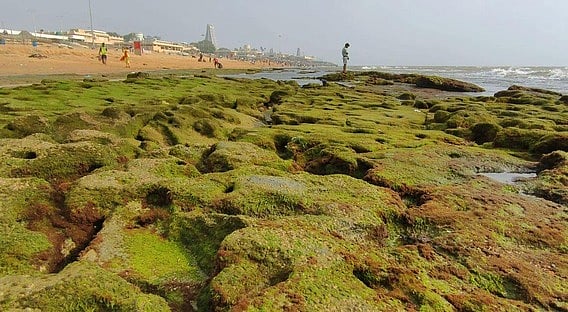 திருச்செந்தூா் கோயில் பகுதியில் உள்வாங்கிய கடல்.!