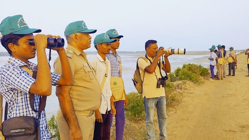 கோடியக்கரை சரணாலயத்தில் பறவைகள் கணக்கெடுப்புப் பணி!