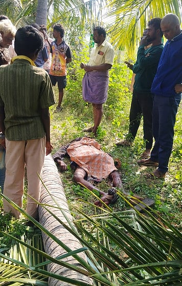 மரம் முறிந்து விழுந்து
தொழிலாளி மரணம்