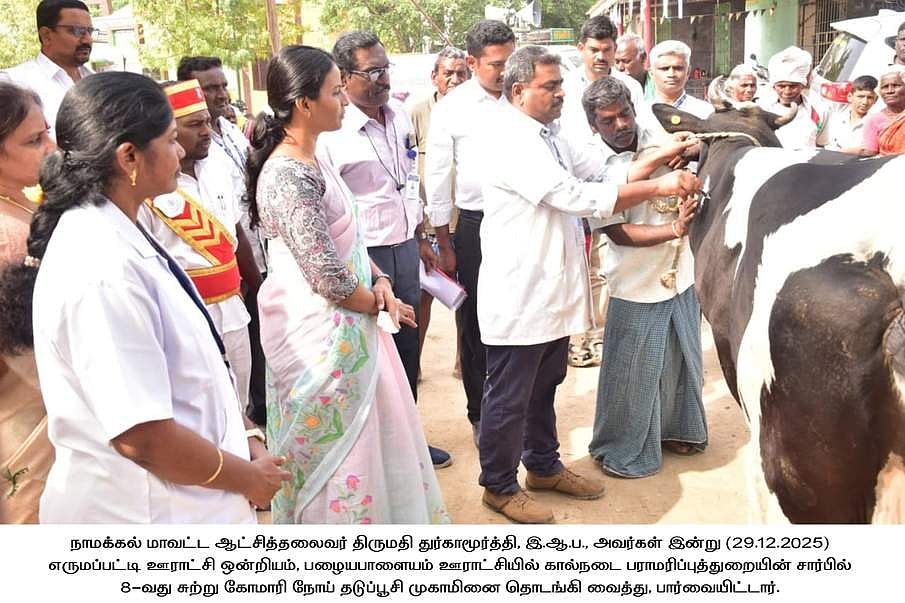 கோமாரி நோய் தடுப்பூசி செலுத்தும் பணி தொடக்கம்