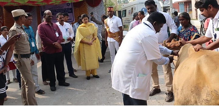 1.90 லட்சம் கால்நடைகளுக்கு கோமாரி நோய் தடுப்பூசி:
ராணிப்பேட்டை ஆட்சியா் தொடங்கி வைத்தாா்