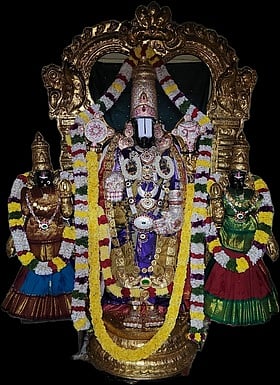 வைகுண்ட ஏகாதசி: பெருமாள் கோயில்களில் சிறப்பு வழிபாடுகள்