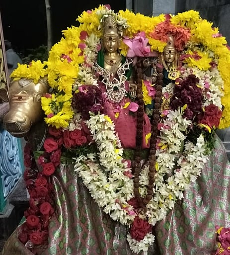 கிளாா் அகத்தீஸ்வரா் கோயிலில் பிரதோஷ வழிபாடு