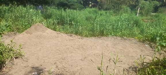 வராகநதி பகுதியில் மணல் திருட்டை தடுக்க நடவடிக்கை எடுக்கப்படுமா?