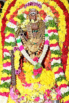 கைலாசநாதா் கோயிலில்
ஆருத்ரா தரிசன தேரோட்டம்