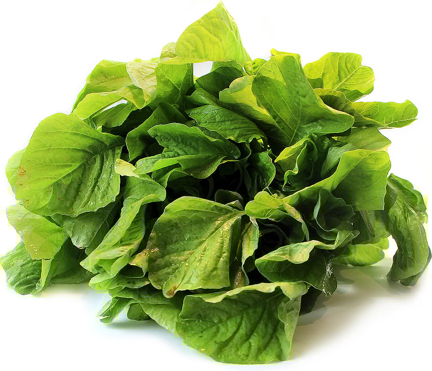 ஆயுள் காக்கும் ஆயுர்வேதம்: மயக்கம், தலைச்சுற்றல் பிரச்னை தீர?