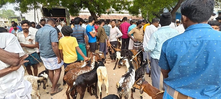 ஆறுமுகனேரி ஆட்டுச் சந்தையில் ரூ. 2 கோடிக்கு விற்பனை