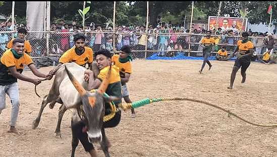 கமுதி அருகே வடமாடு மஞ்சுவிரட்டு