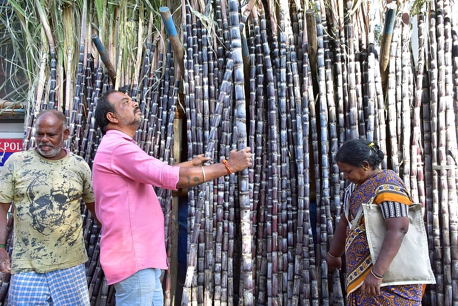 மல்லிகைப் பூ வரத்து குறைவால்
கோவையில் கிலோ ரூ.4,000-க்கு விற்பனை