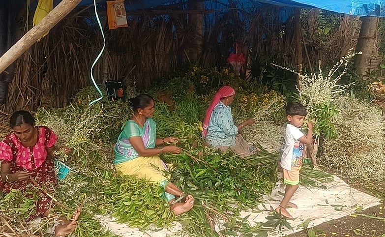 பொங்கல் பண்டிகை: கேரளம் செல்லும் காப்புக்கட்டு