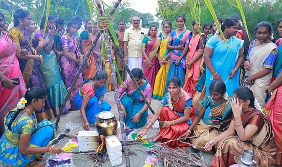 கோவில்பட்டி கல்லூரி, அலுவலகங்களில் சமத்துவ பொங்கல்