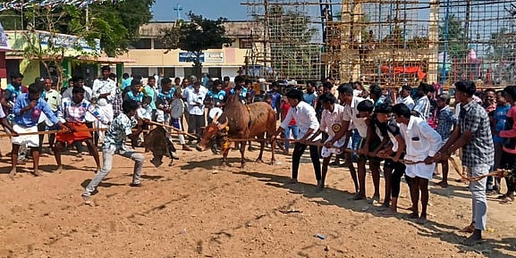 சென்னத்தூா் லாடவரம் கிராமத்தில் எருதாட்ட திருவிழா